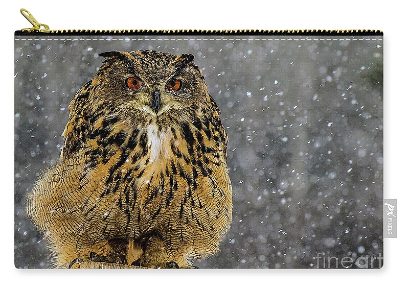 Owl Zip Pouch featuring the photograph Mango by Jale Fancey