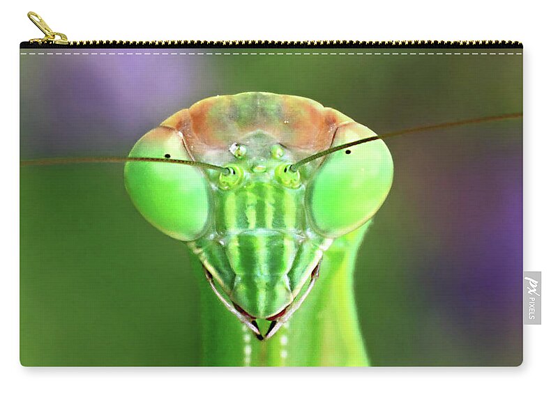 Mantis Stare-down Zip Pouch featuring the photograph Mantis stare-down by Carolyn Derstine