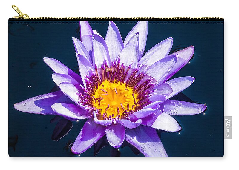 Water Lilly Zip Pouch featuring the photograph Surounded by Charles McCleanon