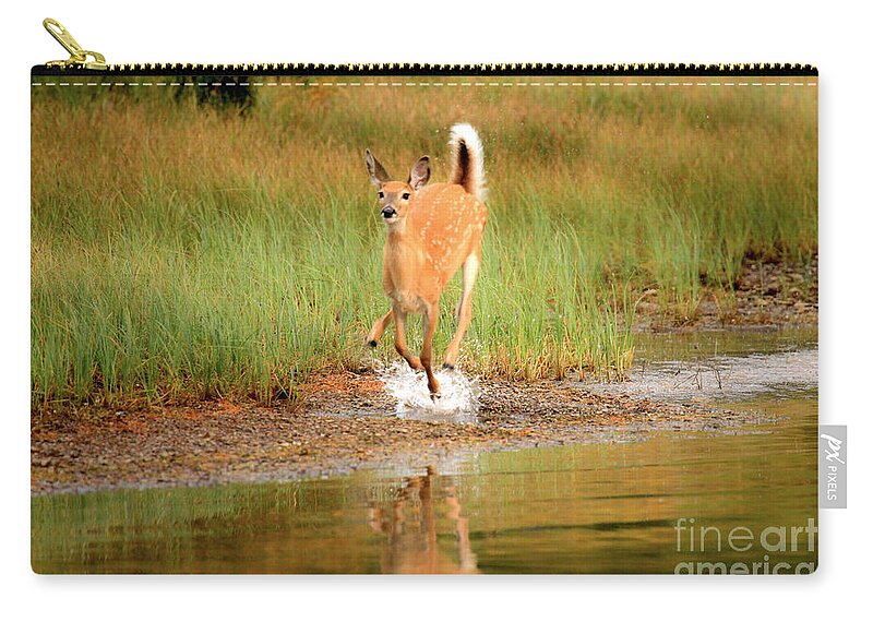 Deer Zip Pouch featuring the photograph Off To The Races by Adam Jewell