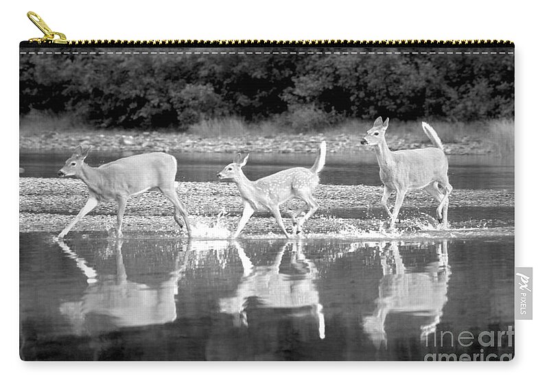  Zip Pouch featuring the photograph Many Glacier Deer 1 by Adam Jewell