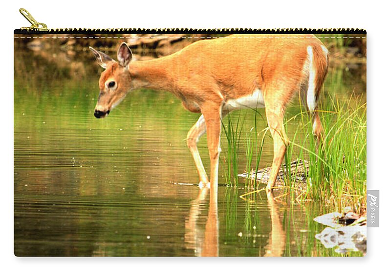 Deer Zip Pouch featuring the photograph Deer Reflections In Fishercap by Adam Jewell
