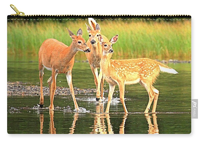 Deer Zip Pouch featuring the photograph Many Glacier Family Portrait by Adam Jewell