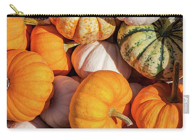 Antigo Zip Pouch featuring the photograph Many Gourds by Todd Klassy