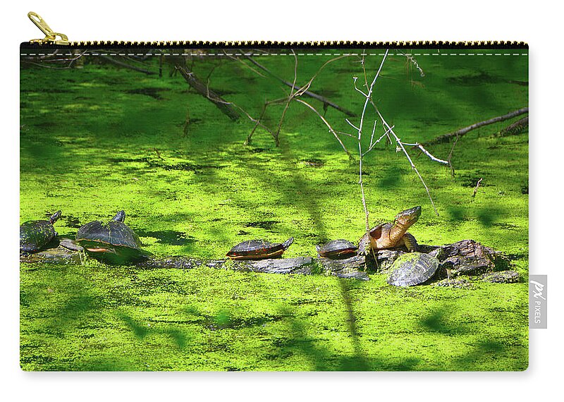 Many Turtles Along The Appalachian Trail Zip Pouch featuring the photograph Many Turtles Along the Appalachian Trail by Raymond Salani III