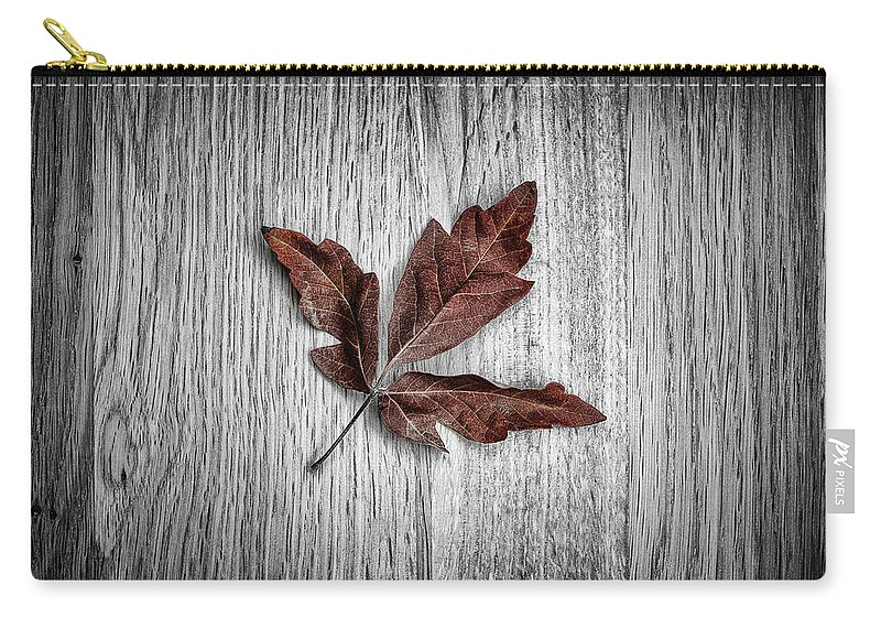 Maple Zip Pouch featuring the photograph Maple Leaf by Nigel R Bell