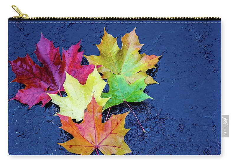 Konica Hexanon Ar 50mm F1.4 Zip Pouch featuring the photograph Maple leaves by Nick Mares