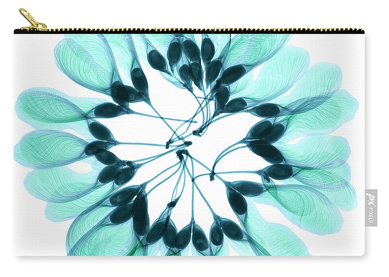 Nature Zip Pouch featuring the photograph Maple Seeds X-ray by Ted Kinsman