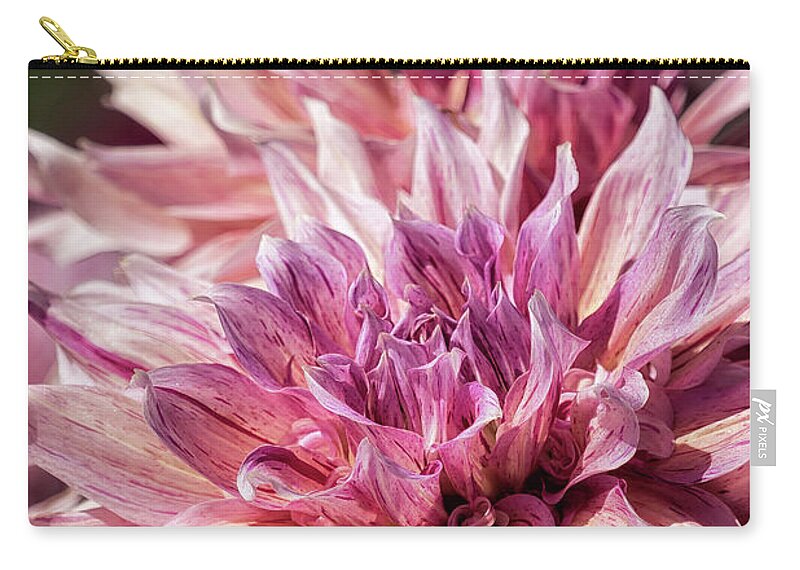 Dahlia Zip Pouch featuring the photograph Marbled Dahlia, No. 2 by Belinda Greb