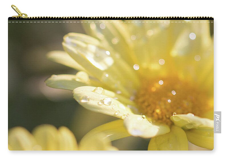 Daisy Carry-all Pouch featuring the photograph Marguerite by Carrie Hannigan