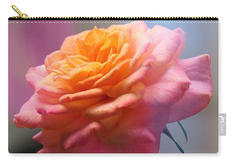 Rose Zip Pouch featuring the photograph Marie's rose by MaryLee Parker