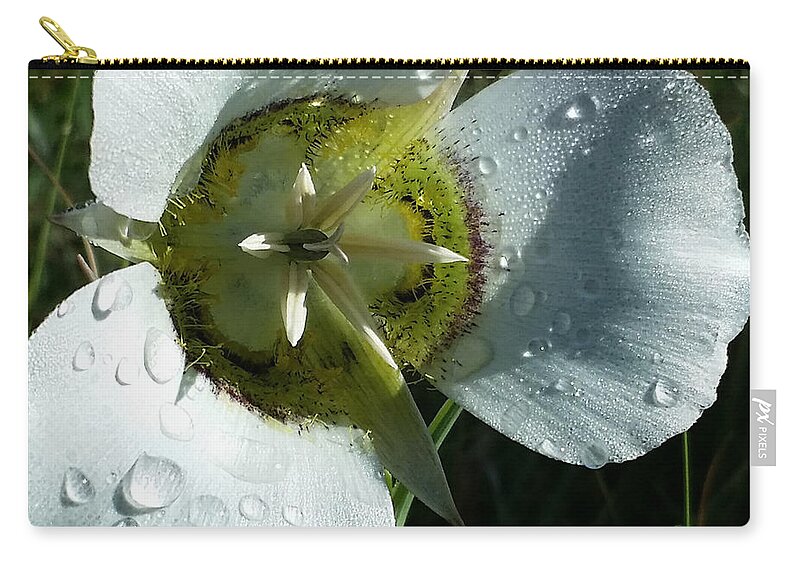 Dew Zip Pouch featuring the photograph Mariposa Dew 2 Rocky Mountain Meadow by Laura Davis