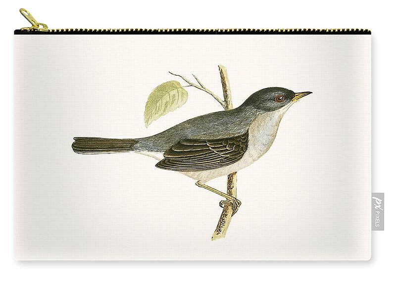 Bird Zip Pouch featuring the painting Marmora's Warbler by English School
