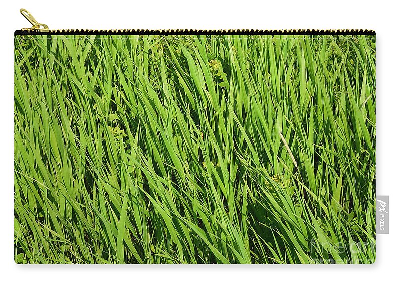 Green Zip Pouch featuring the photograph Marsh Grasses by Barrie Stark