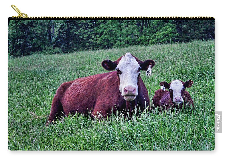 Cow Zip Pouch featuring the photograph Matched Set by Cricket Hackmann