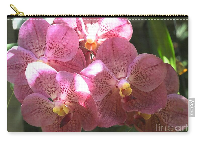 Orchid Zip Pouch featuring the photograph Mauve Orchids by Carol Groenen