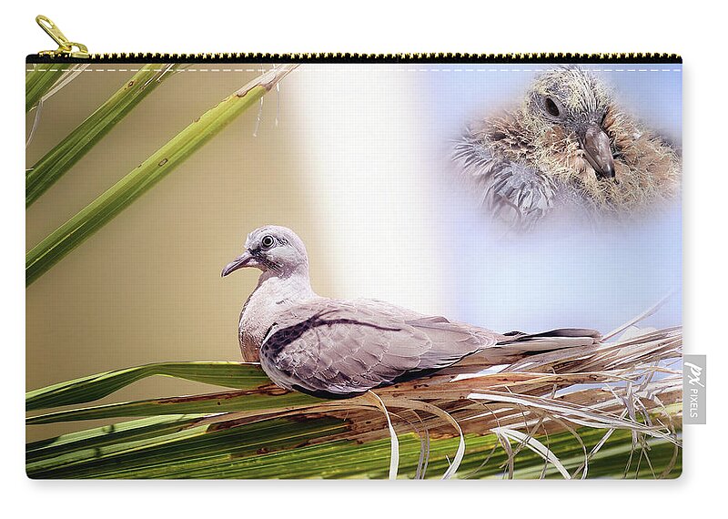 Dove Chicks Carry-all Pouch featuring the photograph Me all grown up 01 by Kevin Chippindall