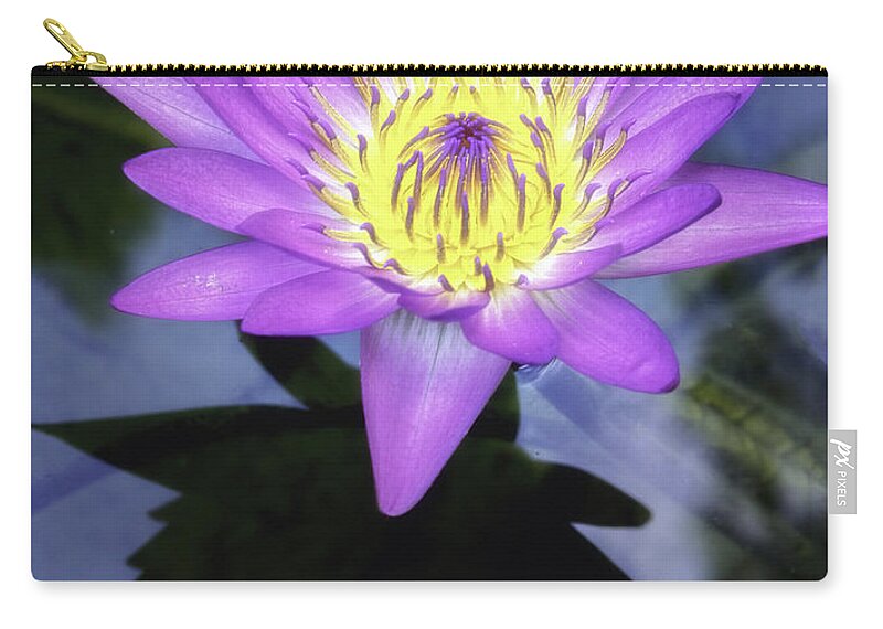 Aquatic Carry-all Pouch featuring the photograph Beautiful reflection of waterlily in a pond. by Usha Peddamatham