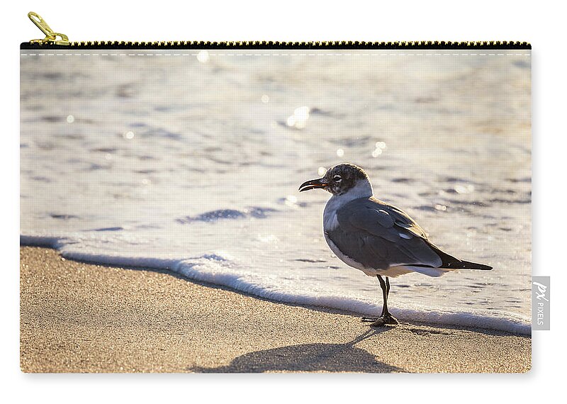 Florida Zip Pouch featuring the photograph Me and My Shadow by Penny Meyers