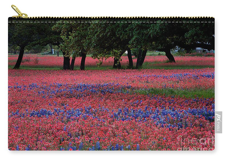 Color Spash Zip Pouch featuring the photograph Meadow of bright red Paintbrush and Bluebonnets grow among Texas by Dan Herron