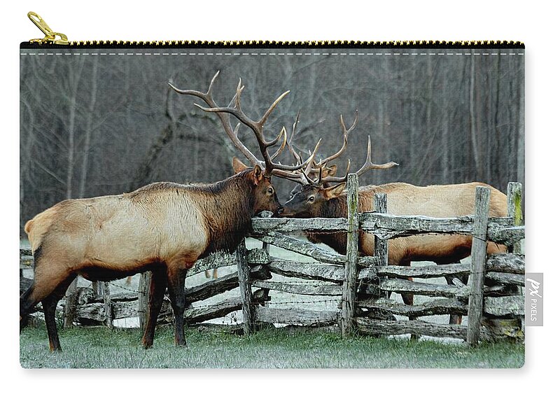 Bull Elk Zip Pouch featuring the photograph Meeting Of the Minds by Carol Montoya