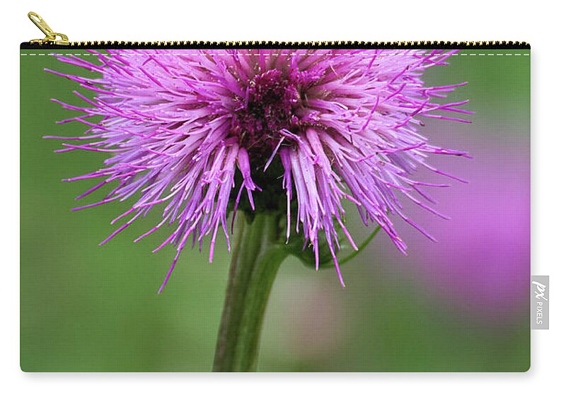 Cirsium Helenioides Zip Pouch featuring the photograph Melancholy thistle 4 by Jouko Lehto