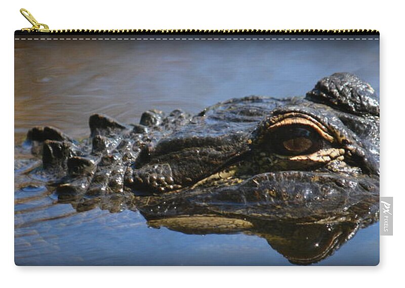  Zip Pouch featuring the photograph Menacing Alligator by Kimberly Woyak