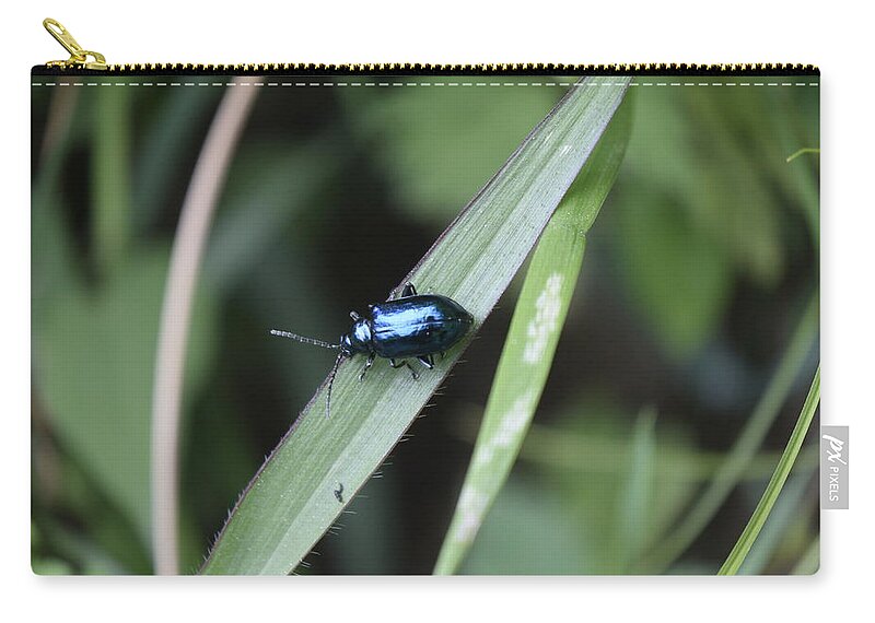 Insect Zip Pouch featuring the photograph Metallic insect by Sumit Mehndiratta