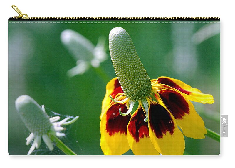 Mexican Zip Pouch featuring the photograph Mexican hat by James Smullins