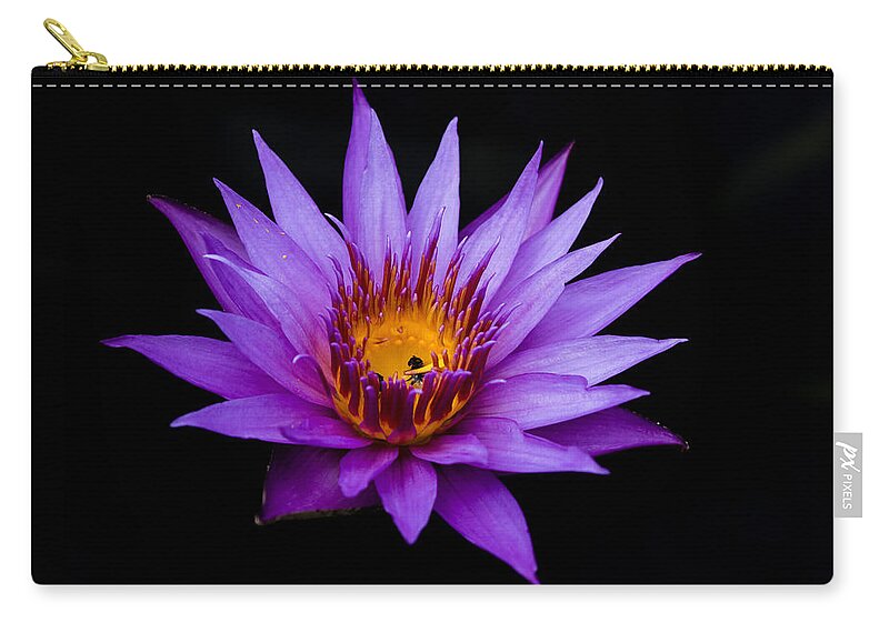 Water Lily Zip Pouch featuring the photograph Midnight Water Lily by Mindy Musick King