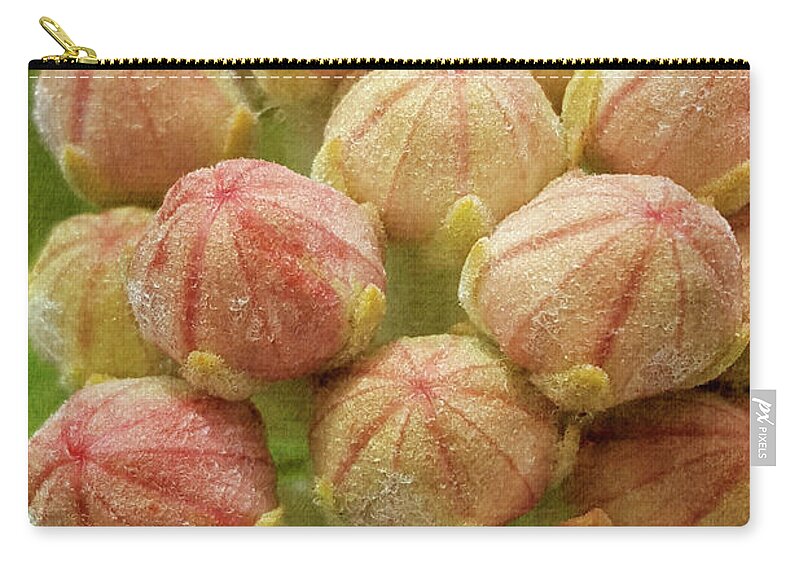 Plants Zip Pouch featuring the photograph Milkweed Buds by Rebecca Langen