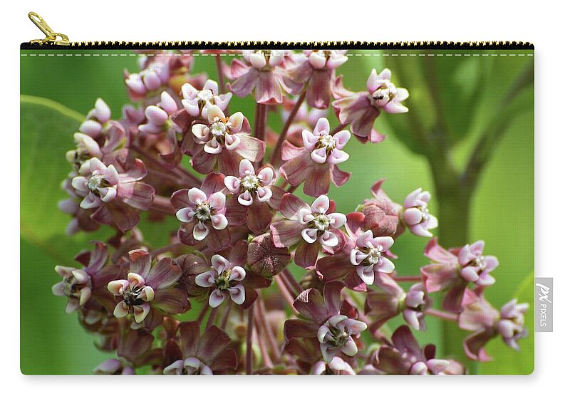 Nature Zip Pouch featuring the photograph Milkweed Flowers by Lyle Crump