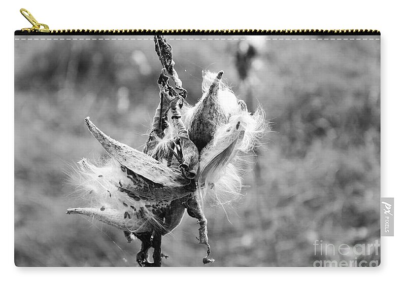 Milkweed Carry-all Pouch featuring the photograph Milkweed Memories by Laurel Best