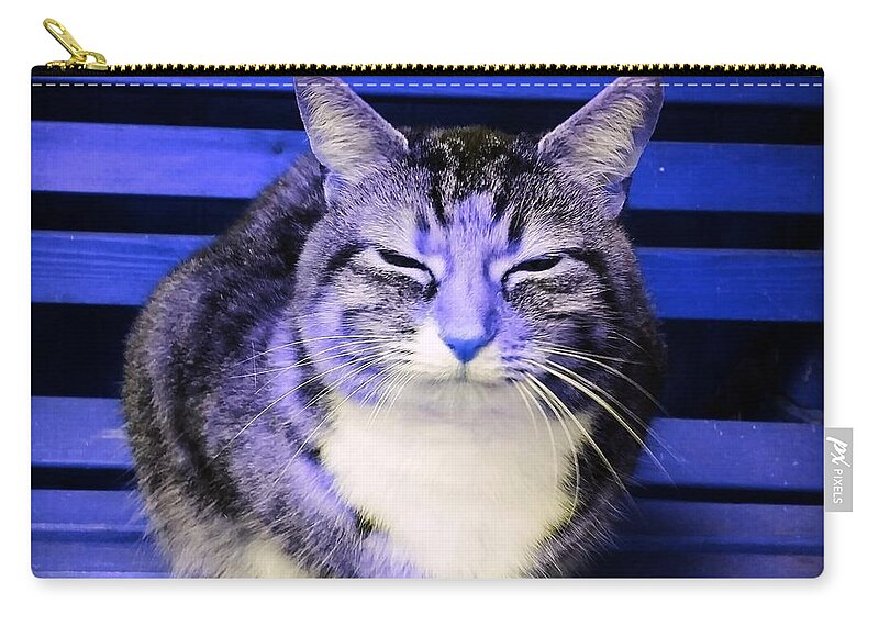 Cat Zip Pouch featuring the photograph Mindful Cat in Electric Blue by Rowena Tutty
