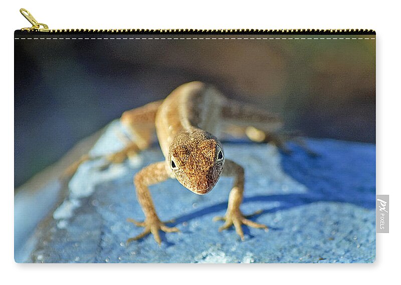 Anole Zip Pouch featuring the photograph Mini Attitude by Kenneth Albin