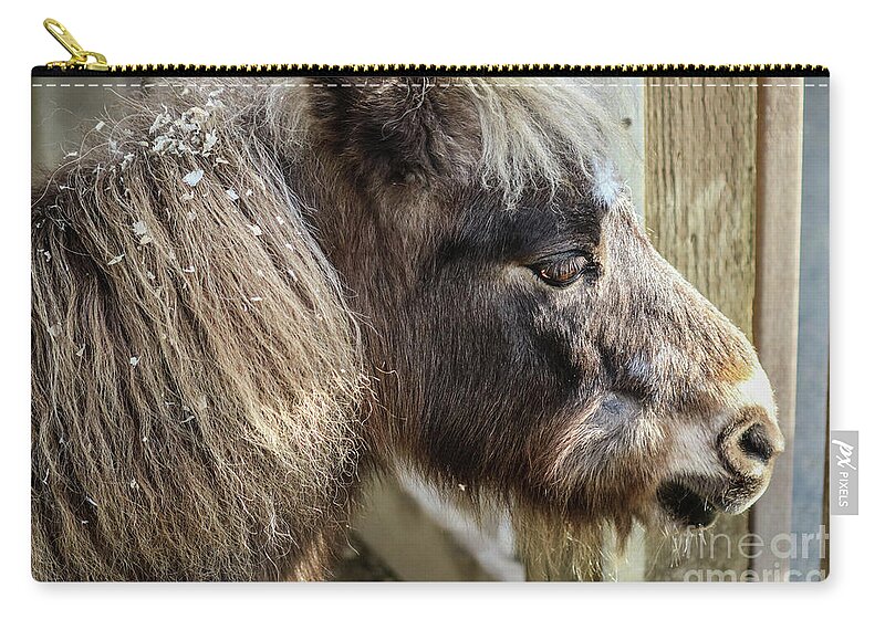 Miniature Zip Pouch featuring the photograph Miniature Horse by Suzanne Luft