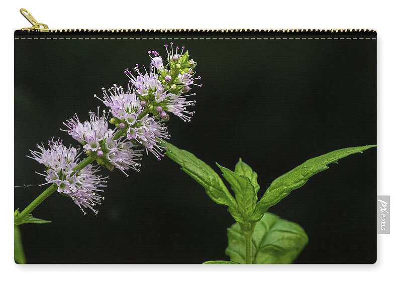 Mint Zip Pouch featuring the photograph Mint Flower by Matt Malloy