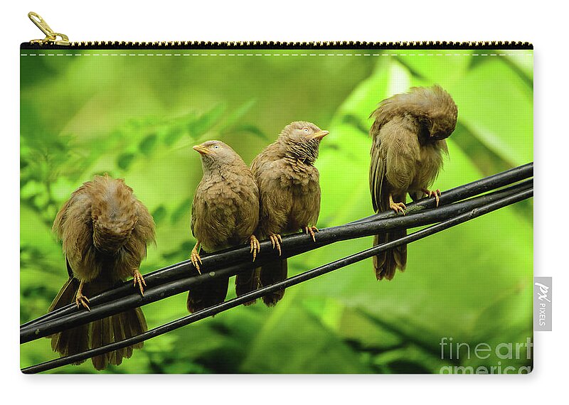 Birds Of Sri Lanka Zip Pouch featuring the photograph Mirror Image by Venura Herath