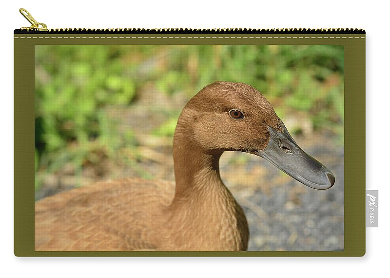 Duck Zip Pouch featuring the photograph Miss Brown Eyes by Nancy De Flon