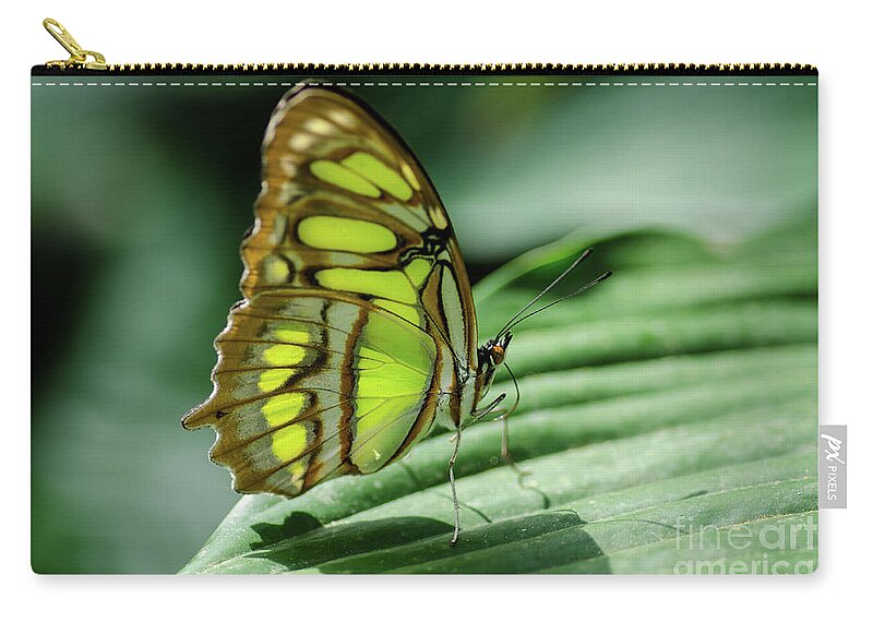 Nostalgic Zip Pouch featuring the photograph Miss Green by Nick Boren