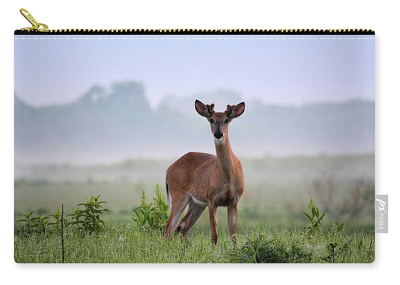 Deer Zip Pouch featuring the photograph Misty Buck by Bonfire Photography