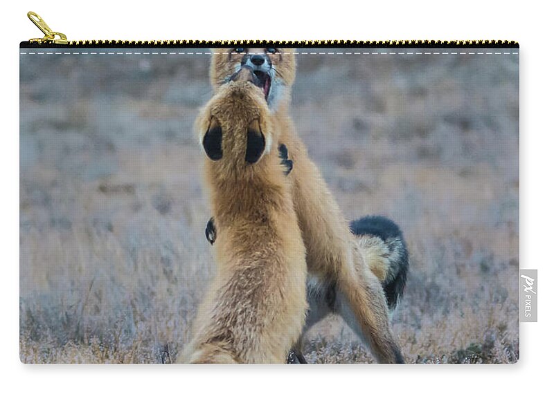 Foxes Zip Pouch featuring the photograph Mixing it Up by John Greco