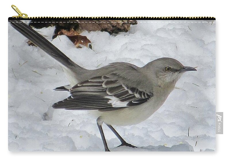 Mockingbird Zip Pouch featuring the photograph Mockingbird in the Snow by CAC Graphics