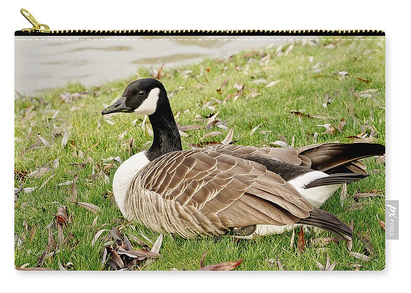 Goose Zip Pouch featuring the photograph Modest Beauty by Elena Perelman
