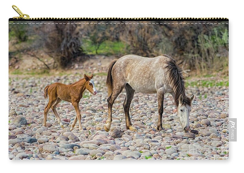 Animal Zip Pouch featuring the photograph Moher and Foal by Lisa Manifold