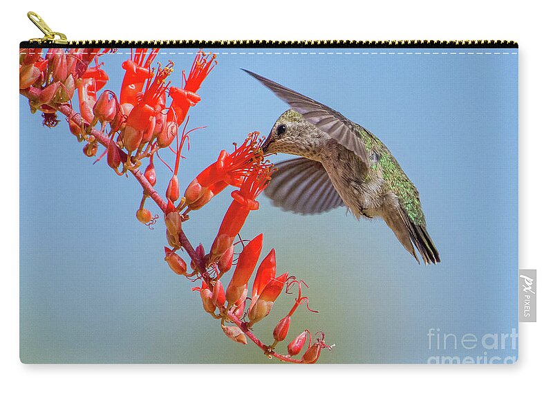 Hummingbird Zip Pouch featuring the photograph Mojave Pollinator by Lisa Manifold