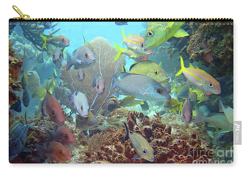 Underwater Zip Pouch featuring the photograph Molasses Reef by Daryl Duda