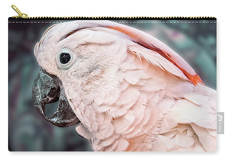 Parrot Zip Pouch featuring the photograph Moluccan Cockatoo by Bob Slitzan