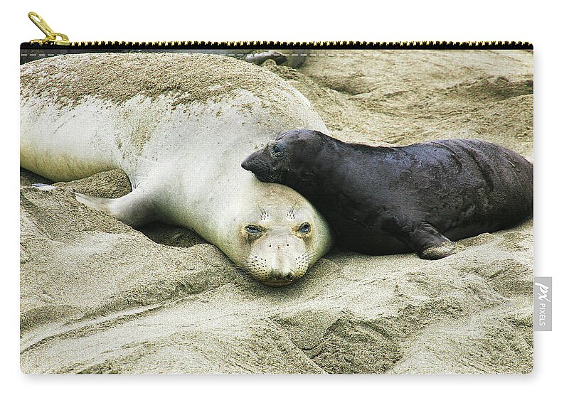 Elephant Seal Zip Pouch featuring the photograph Mom and Pup by Anthony Jones