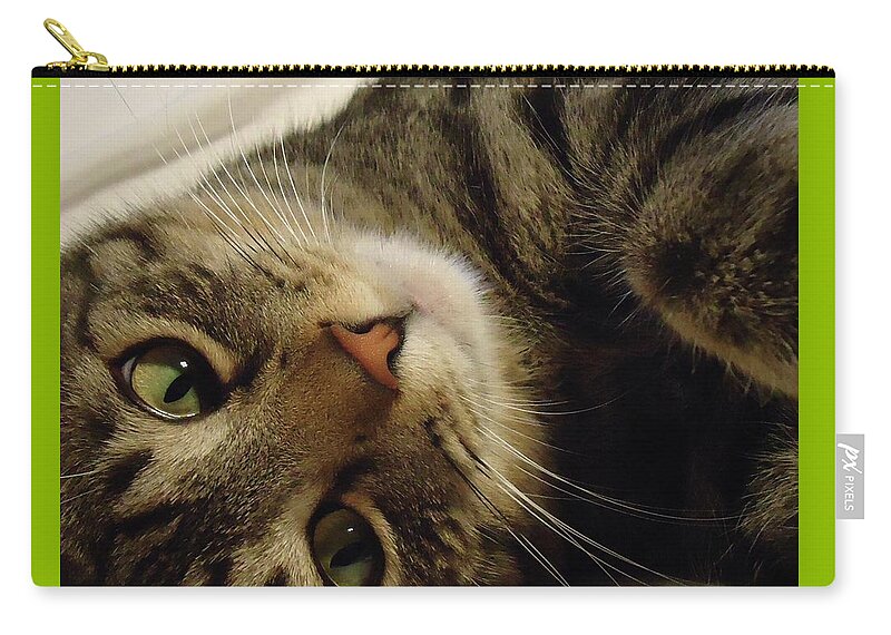 Cat Zip Pouch featuring the photograph Mom Likes Me Best by Leslie Manley
